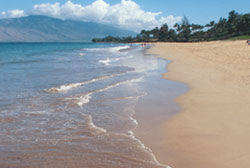 kamaole I, Charlie Young Beach